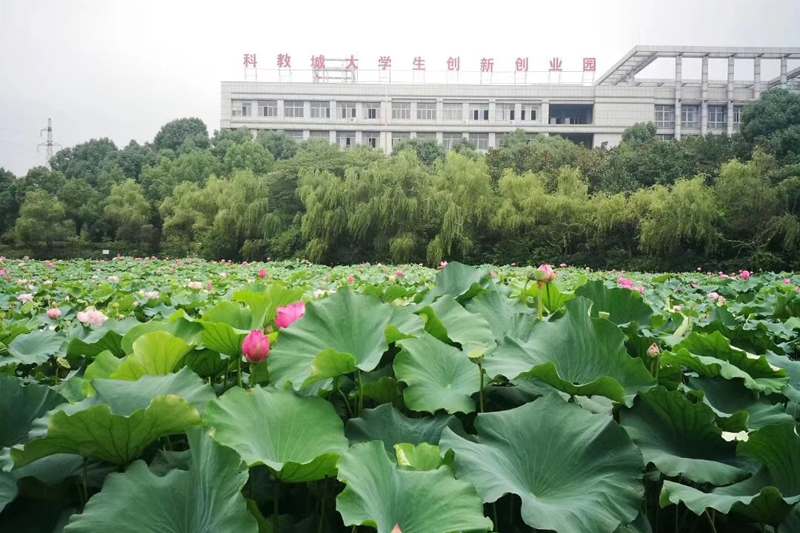 园区风采